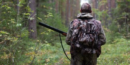 Liguria, licenza di caccia e pesca: adesso si può pagare anche online 