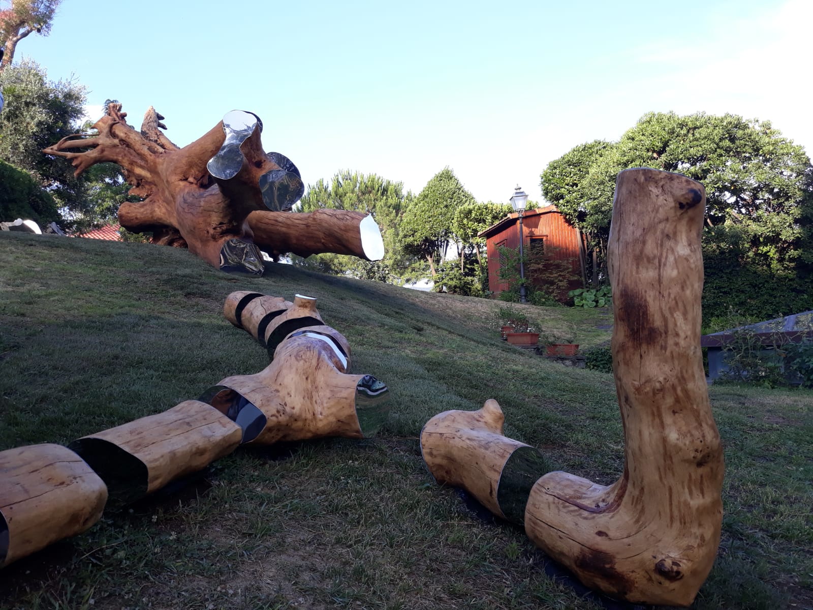 Quercia secolare diventa una splendida scultura ambientale: ecco le immagini