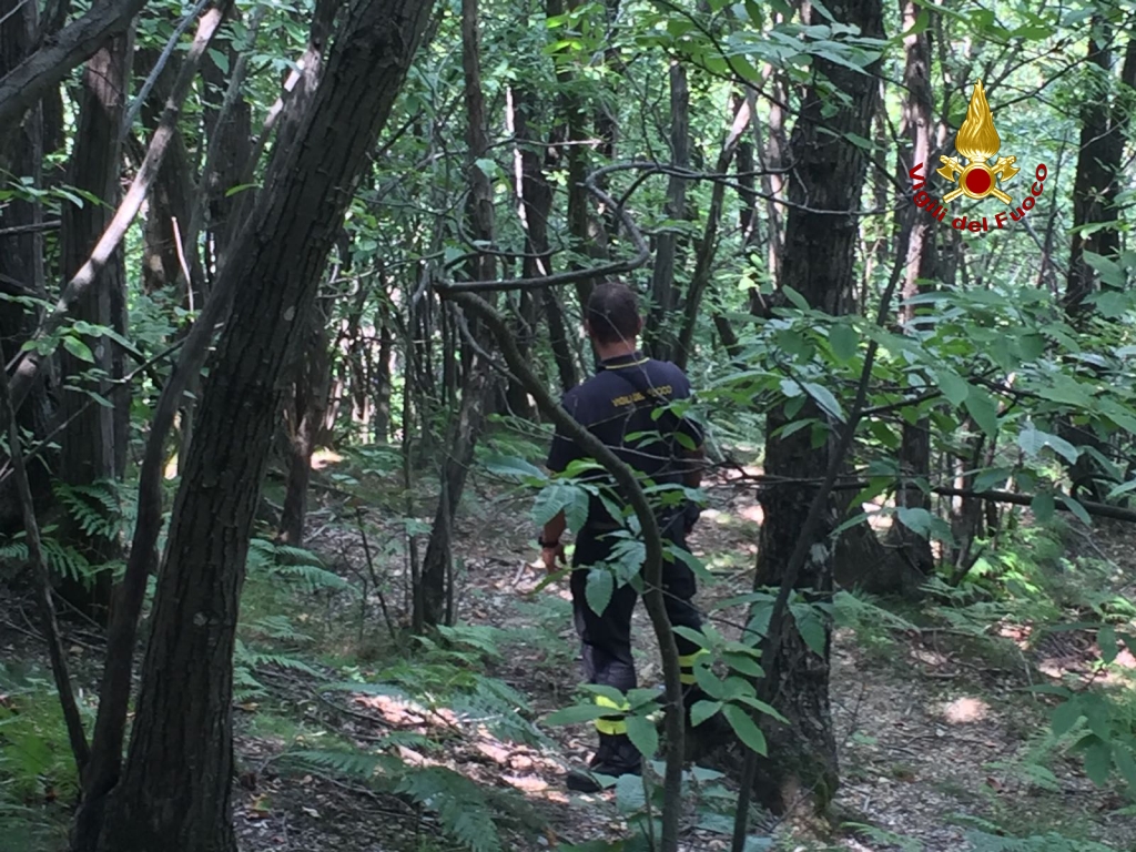 Scompare il marito mentre sono in cerca di funghi nel bosco: iniziate le ricerche