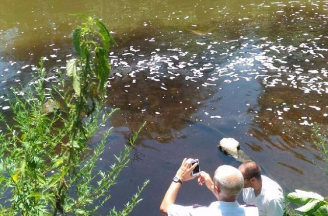 Schiuma bianca nel torrente Nervi, sospetto inquinamento: analisi in corso 