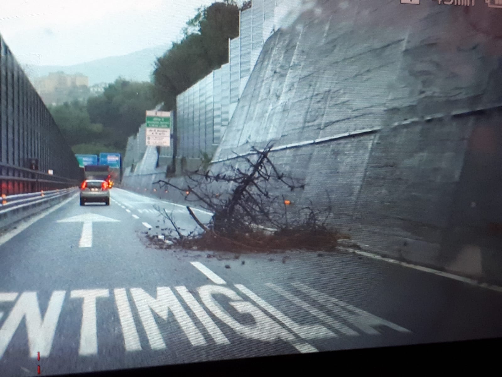 Maltempo a Genova, preoccupano vento e mareggiate. Gambino: 