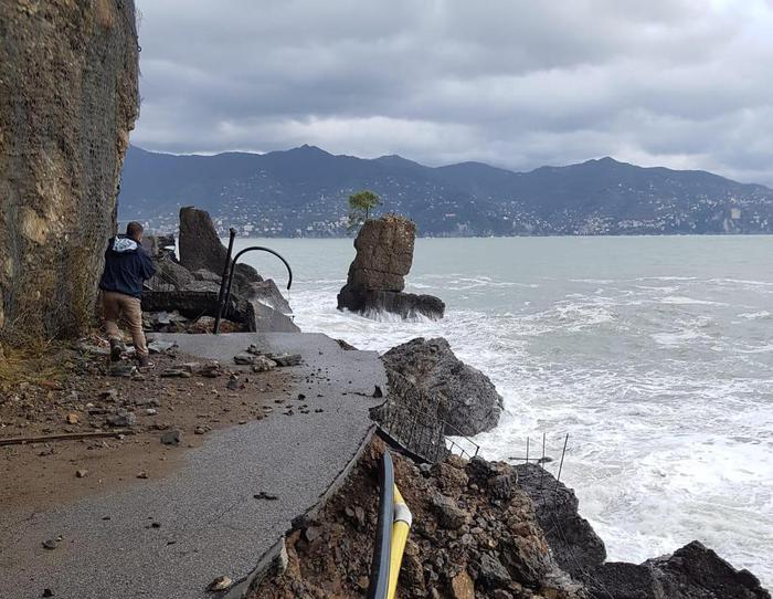 Il pino dello scoglio della 'Carega' resiste alle onde di 10 metri 