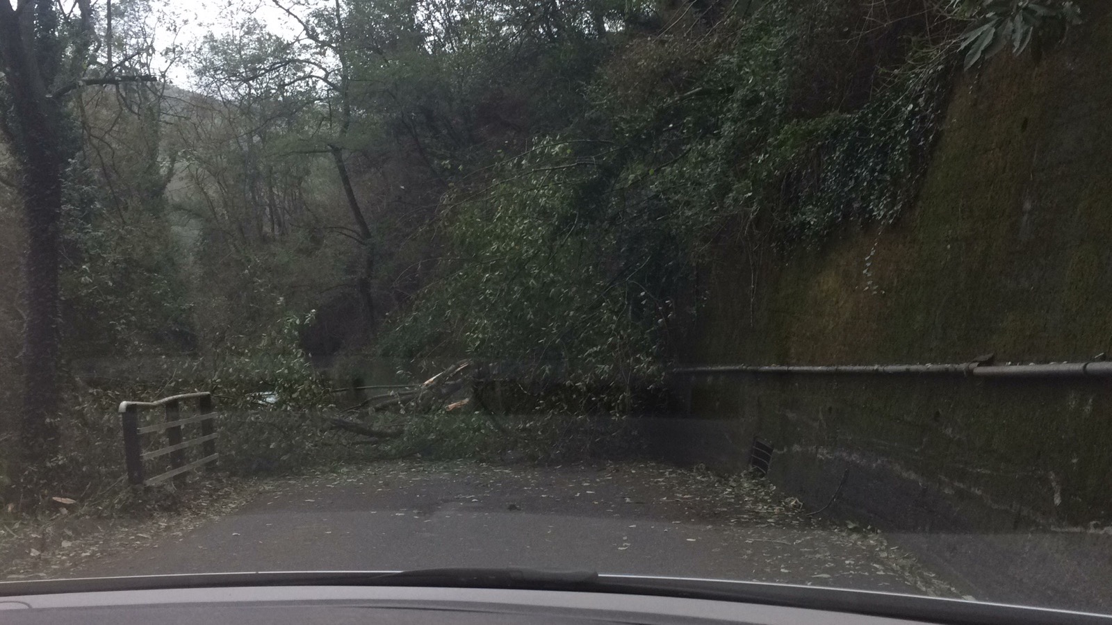 A Mele ancora gli effetti del maltempo, crollano alberi e residenti senza luce  