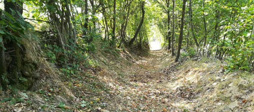 Nessuna traccia del cercatore di funghi genovese disperso nel parco delle Capanne di Marcarolo