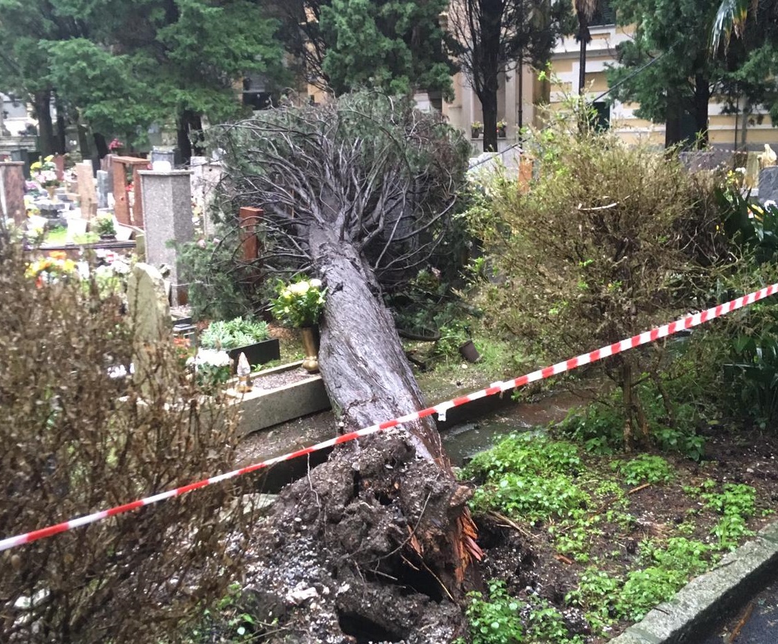 Maltempo, danni anche ai cimiteri. Cade un albero sulle tombe