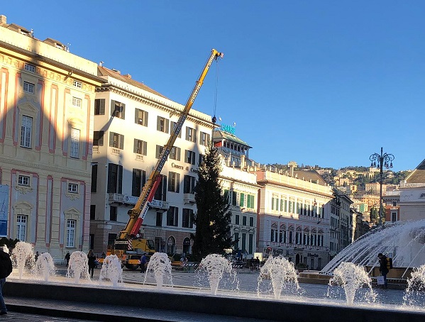 Genova si prepara alle Feste, in piazza De Ferrari arriva l'albero