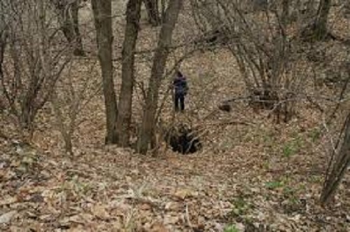 Cadavere in decomposizione al Parco di Marcarolo: forse è il fungaiolo scomparso a novembre 