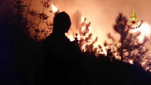 Scoppia incendio sul monte Fasce: domato, ma le cause sono sospette