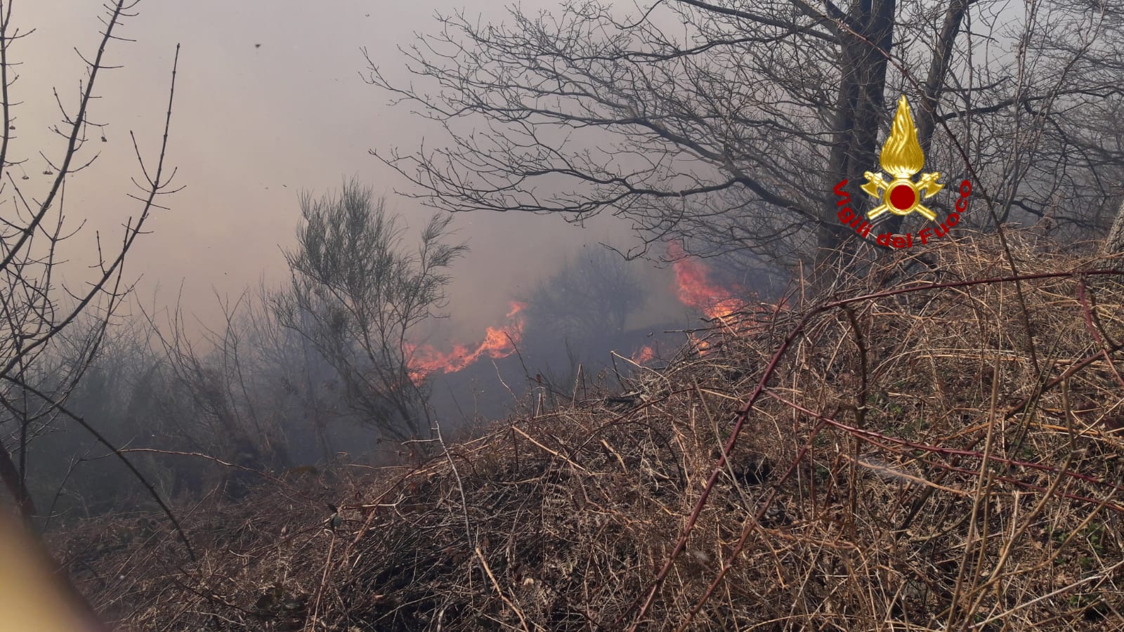 Vasto incendio di bosco in Valpolcevera, in corso le operazioni di spegnimento