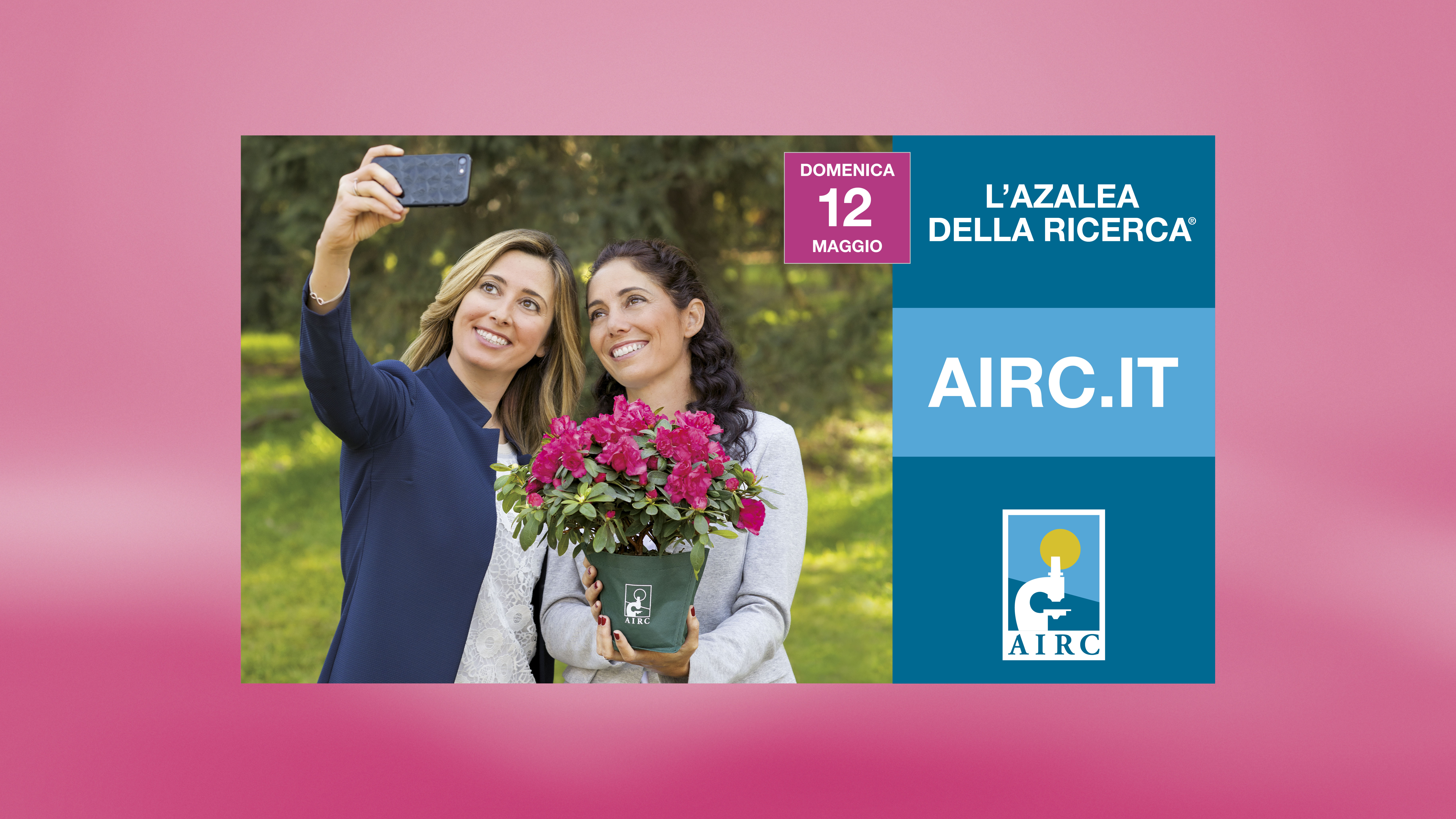 Per la festa della mamma torna nelle piazze l'azalea della ricerca di Airc