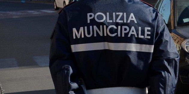 Crolla una palma, danneggiati diversi scooter