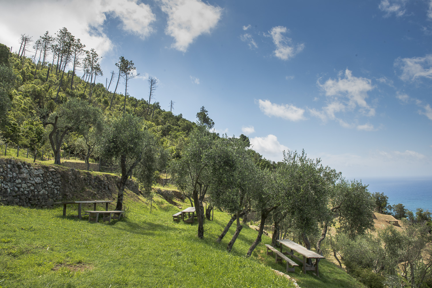 Porte aperte al Podere Case Lovara di Punta Mesco 