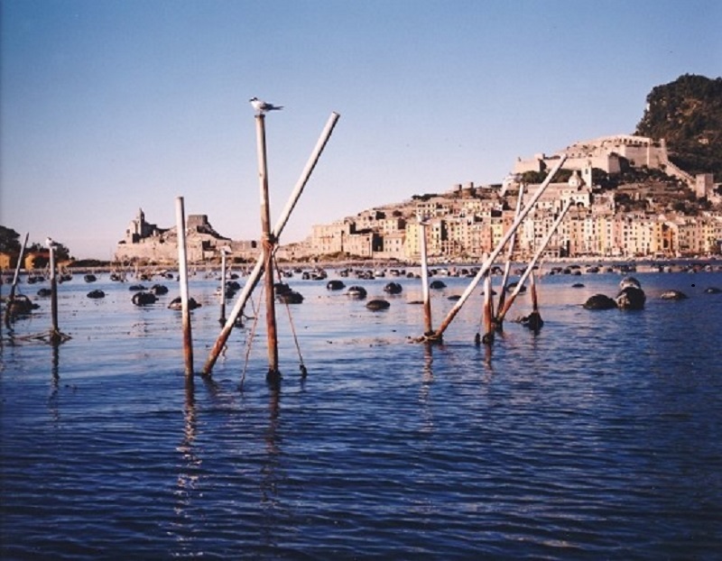 All'Autorità Portuale della Spezia il convegno sulla Molluschicoltura