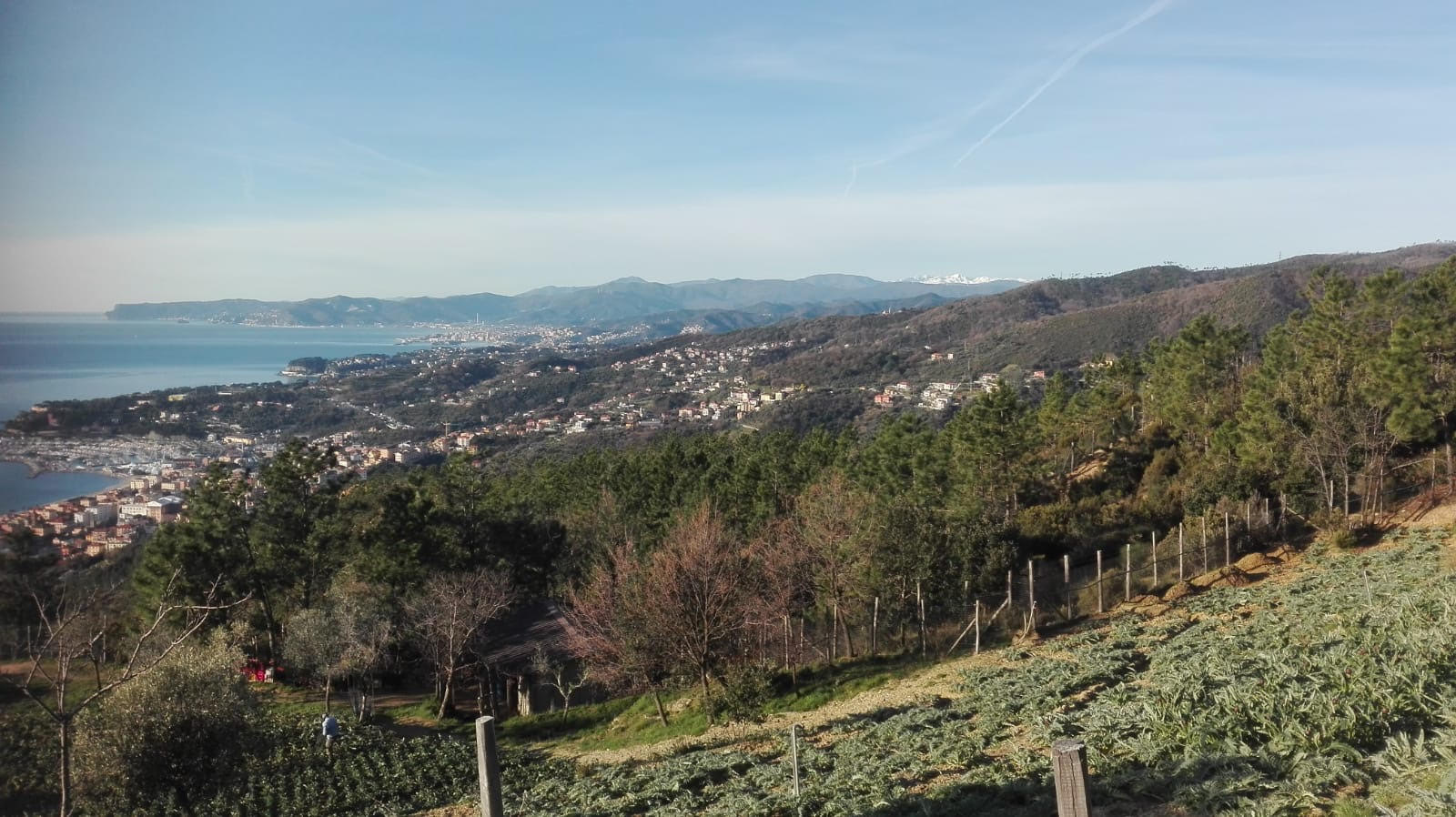 Mercoledì sera a Viaggio in Liguria panorami unici e racconti umani da copertina