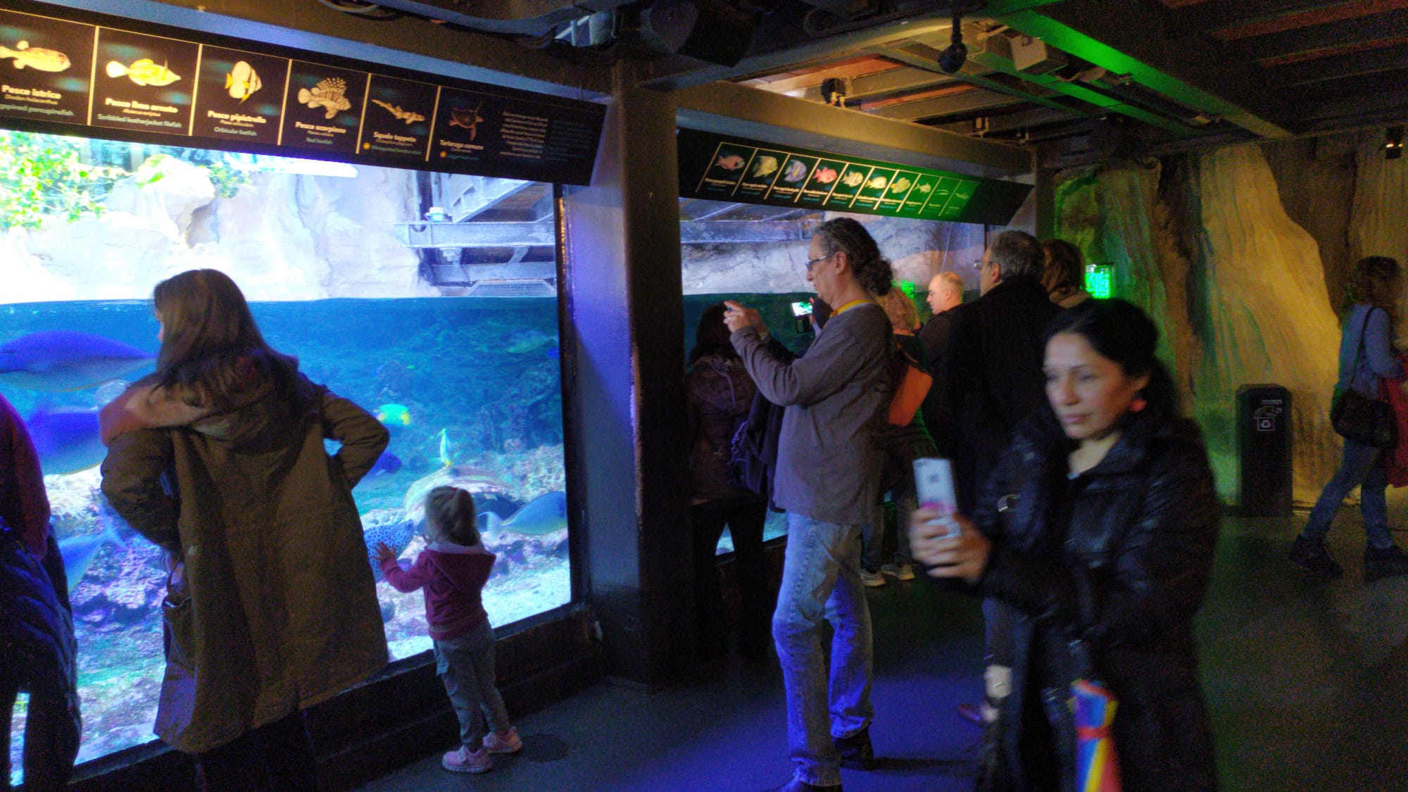 Coronavirus, riaperto l'Acquario di Genova con centinaia di visitatori