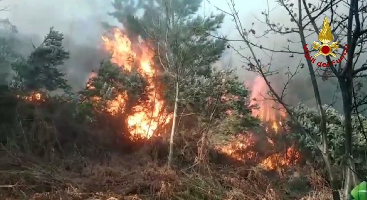 Incendio nel parco di Portofino, in fiamme il bosco di conifere vicino ad alcune ville