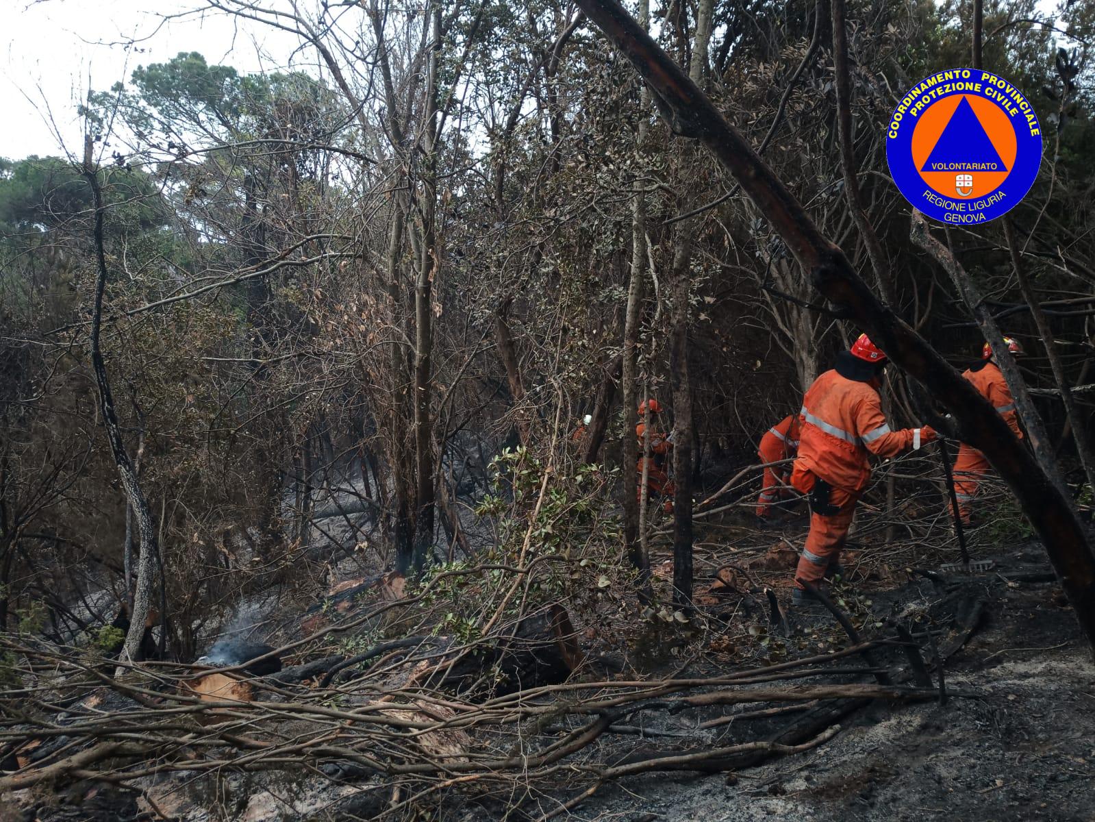 Incendio al parco Portofino, avviata la bonifica dell'area 