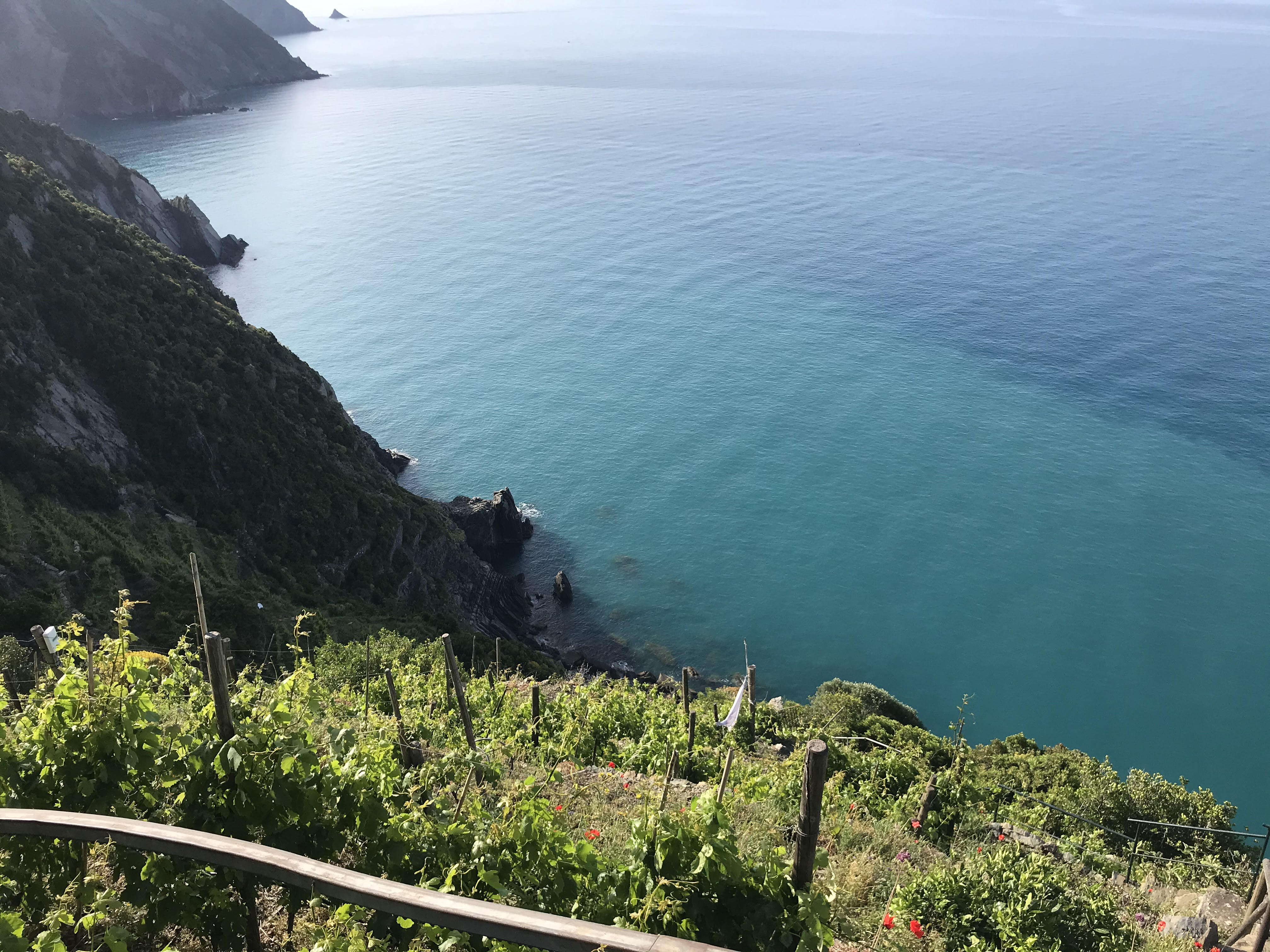 Vinitaly, il miglior vino bianco e il miglior vino dolce d’Italia sono liguri