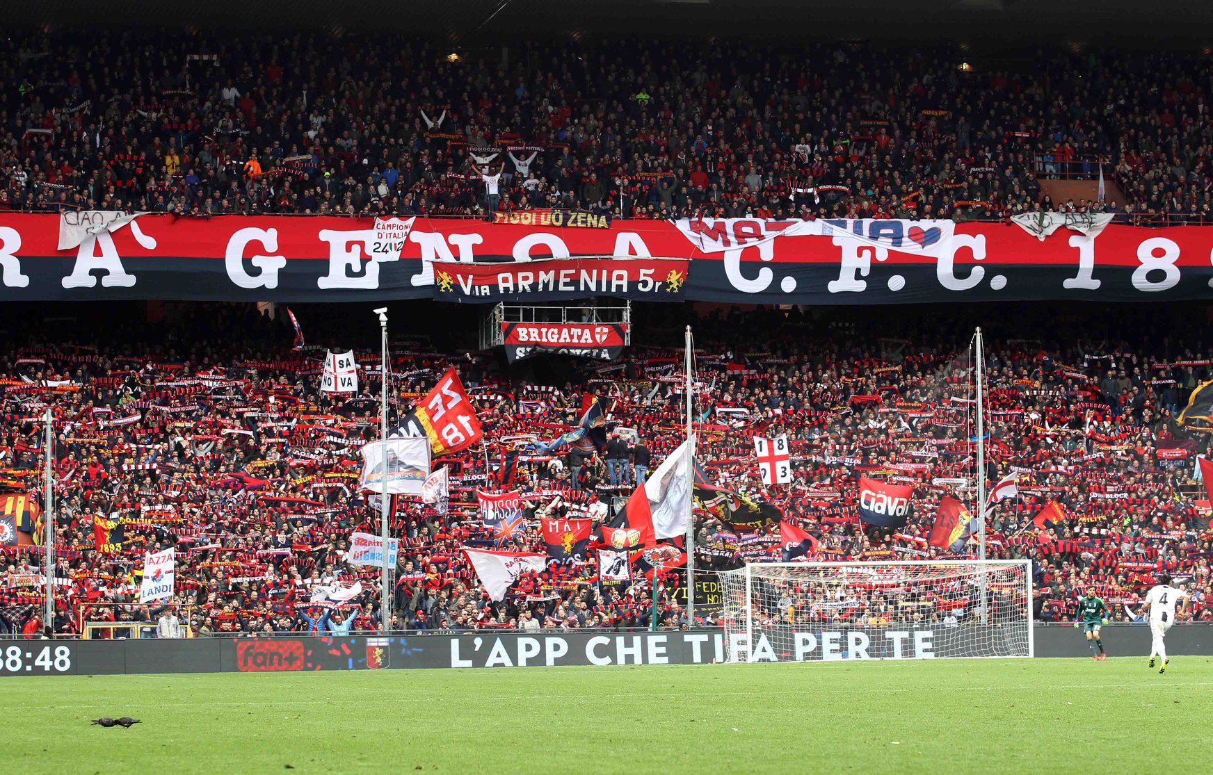 127 anni di Genoa, domenica sera alle 22 la festa a De Ferrari