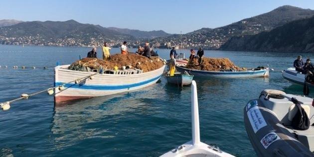 Inizia bene la stagione di pesca acciughe, sardine e palamite