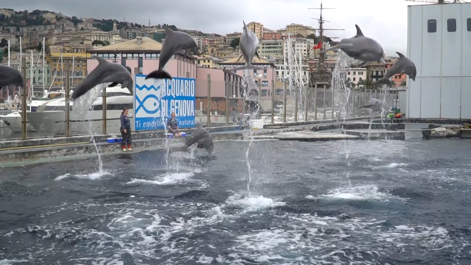 Successo per la riapertura dell'Acquario, Costa: 