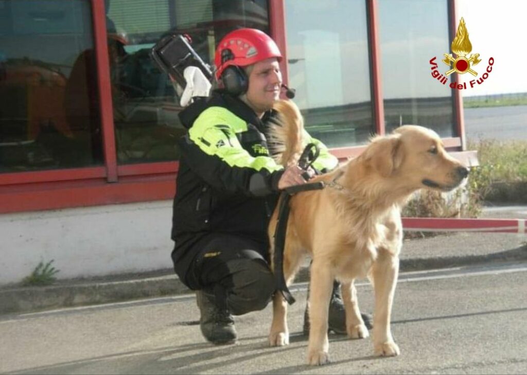 E' morto Lucky, il cane pompiere che lavorò al crollo di Torre Piloti