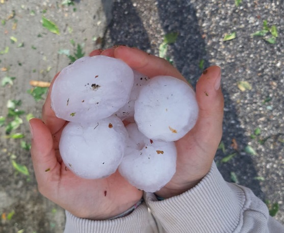 Maltempo in Liguria, grandinata nell'Imperiese: chicchi grandi come uva